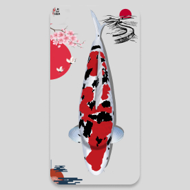 Koi